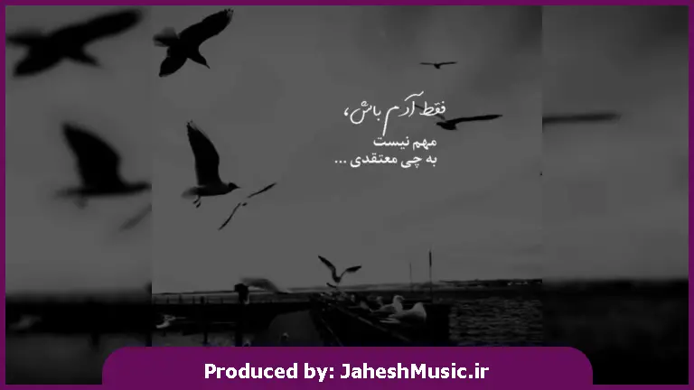 دانلود آهنگ امیر خوشگل ما 207 مشکی دارد از 